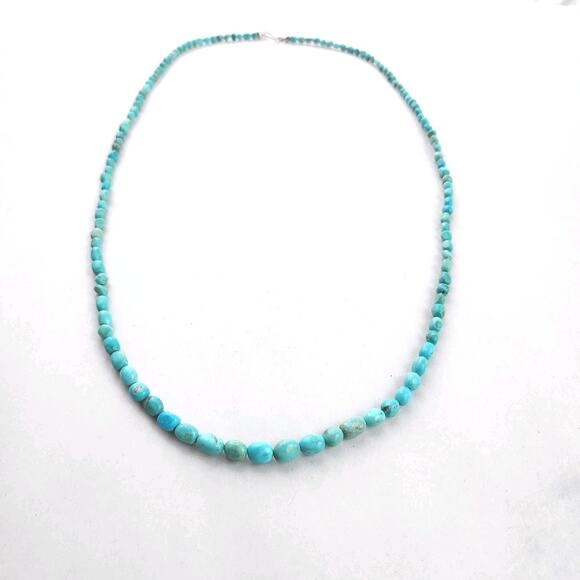 Jay King Jewelry - Jay King Choker Necklace 34" Turquoise New Blue Western